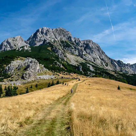 Domacinstvo Paprica Tjentiste * Foca