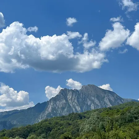 Domacinstvo Paprica Tjentiste