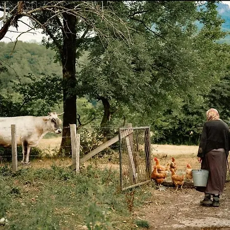 Domacinstvo Paprica Tjentiste Hébergement de vacances Foca