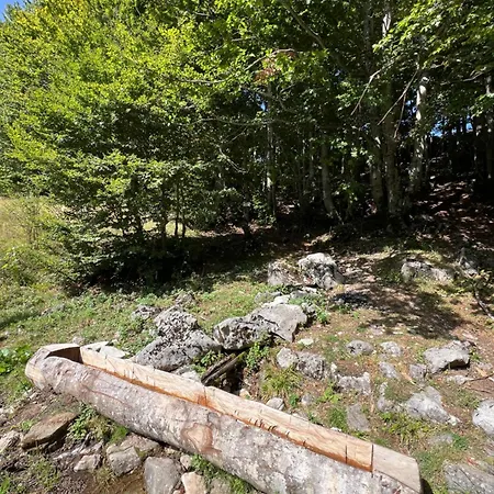 Domacinstvo Paprica Tjentiste Holiday home